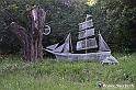 VBS_4883 - Il bosco fatato - Montaldo Roero